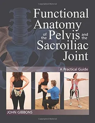 Functional anatomy of the pelvis and the sacroiliac joint: a practical guide