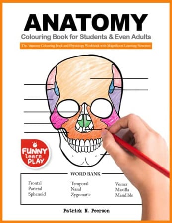 Anatomy Colouring Book for Students and Even Adults The Anatomy Colouring Book and Physiology Workbook with Magnificent Learning Structure