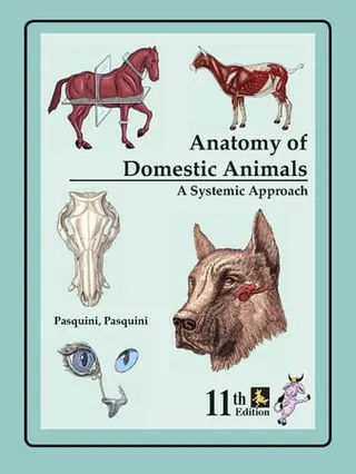 Anatomy of domestic animals: systemic & regional approach