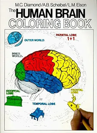 The human brain coloring book