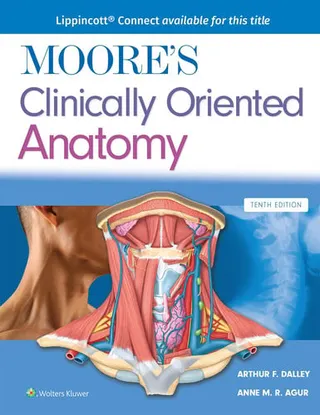 Moore's clinically oriented anatomy