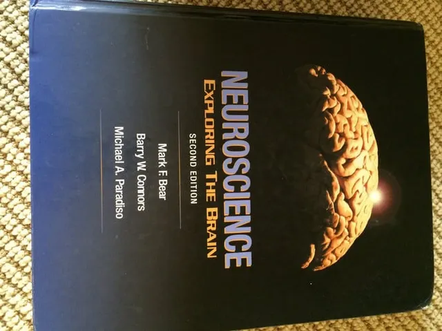 Neuroscience: Exploring the Brain