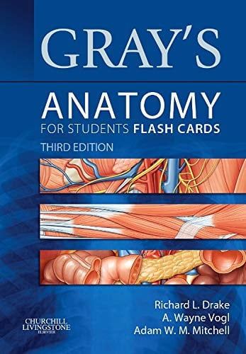 Gray's anatomy for students: flash cards