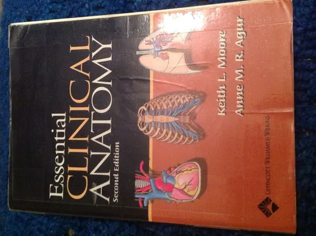 Essential clinical anatomy